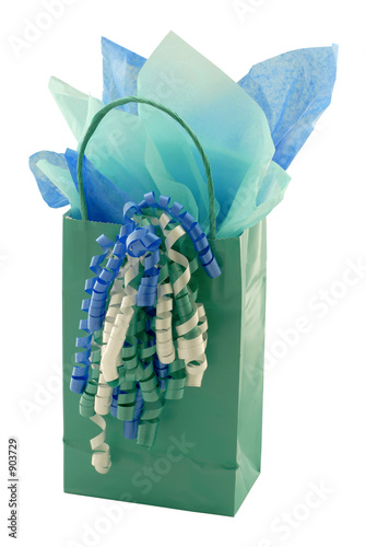 teal gift bag