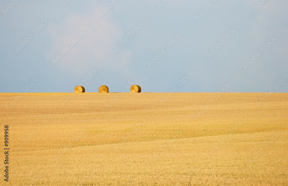 paysage d'été Stock Photo | Adobe Stock