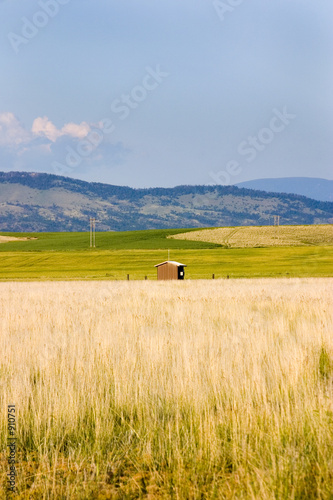 field in helena with a shed and mountains on the background