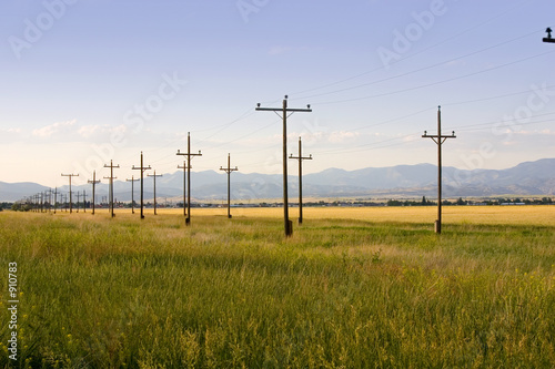 field in helena