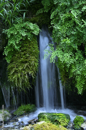 source provençale