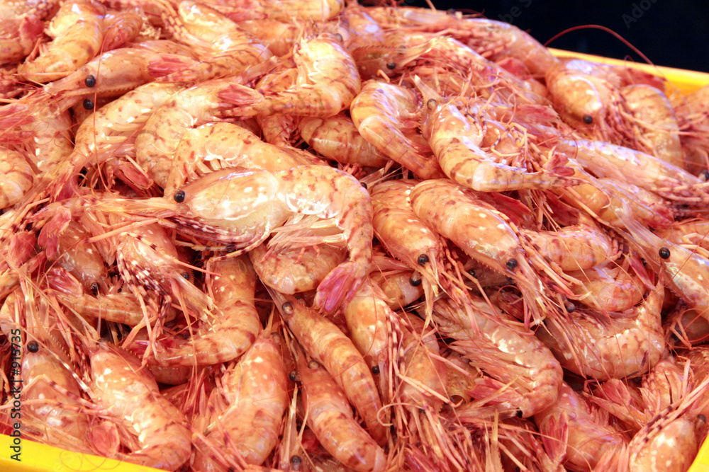 fresh shrimps