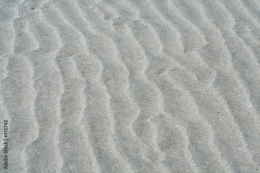 seashore tideland seashore tideland