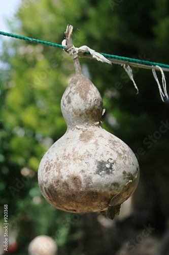 dry bottle gourd photo