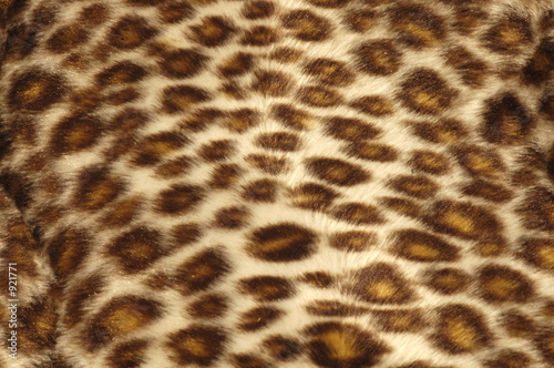 texture léopard