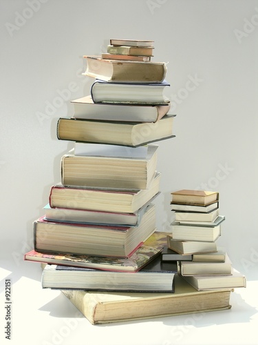 Fototapeta stake of various books