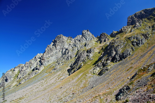 summer alpine landscape
