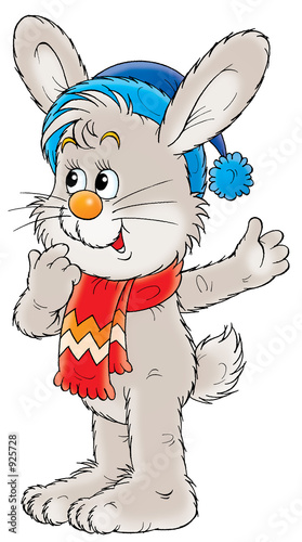 winter rabbit