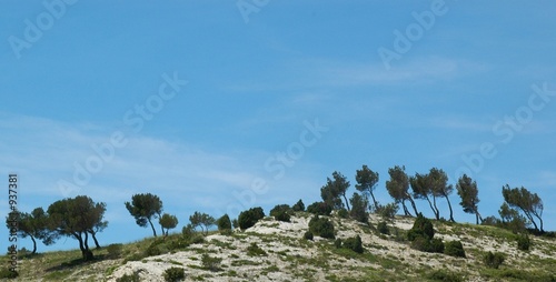 alpilles photo