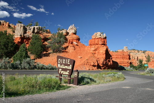 dixie national forest photo
