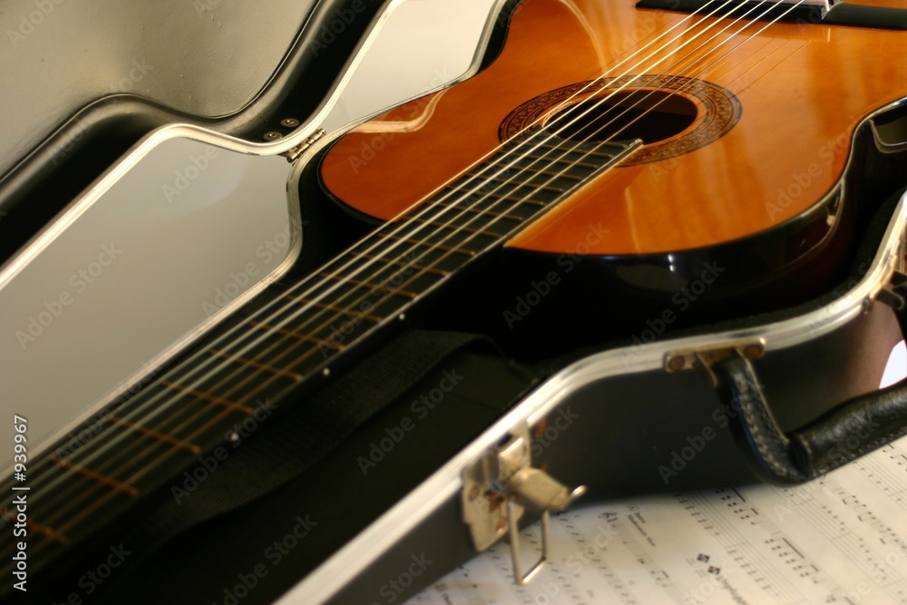 Fototapeta premium guitar in case