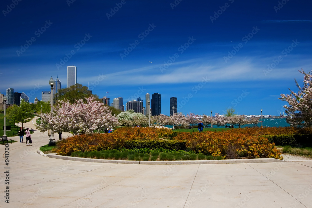 Εκτύπωση καμβά chicago lakefront garden