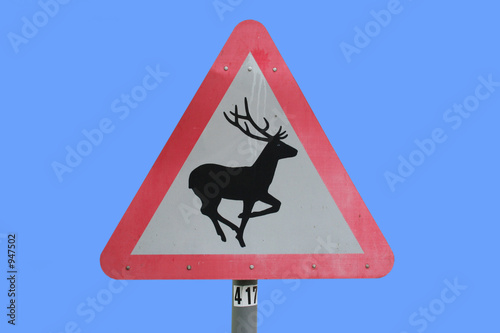 deer sign