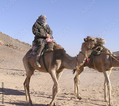 grandfather and camel