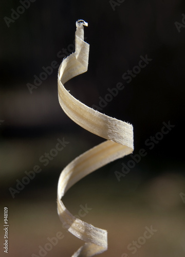 wood chip