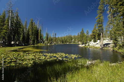mosquito lake