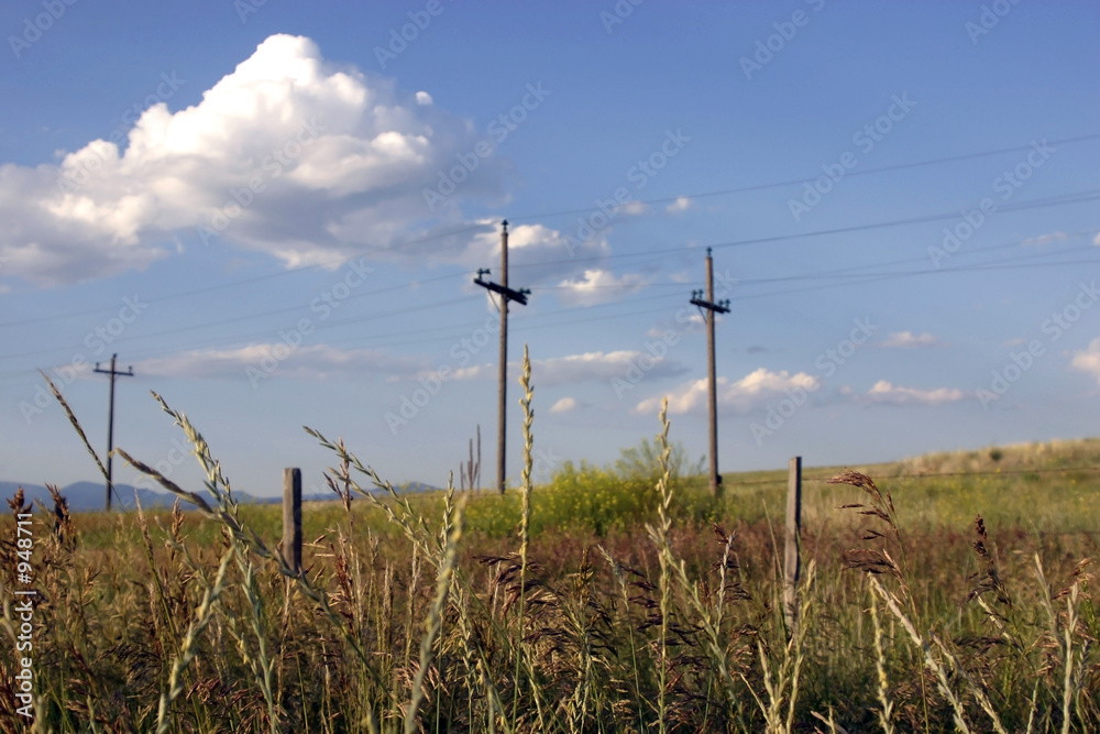 Obraz premium field in helena