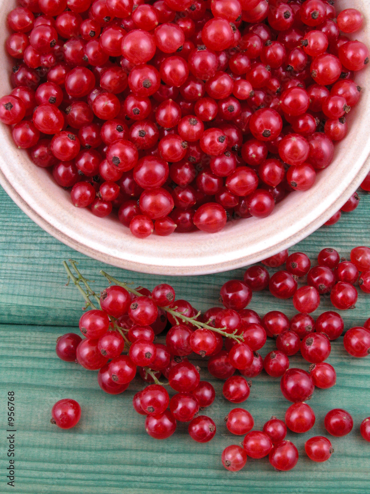 red currants red currants