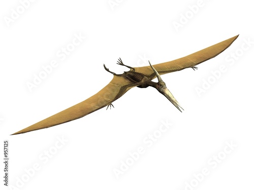 pterus le pterosaur