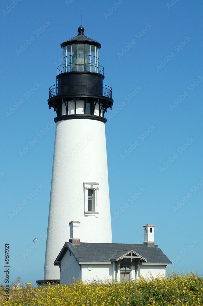 oregon lighthouse