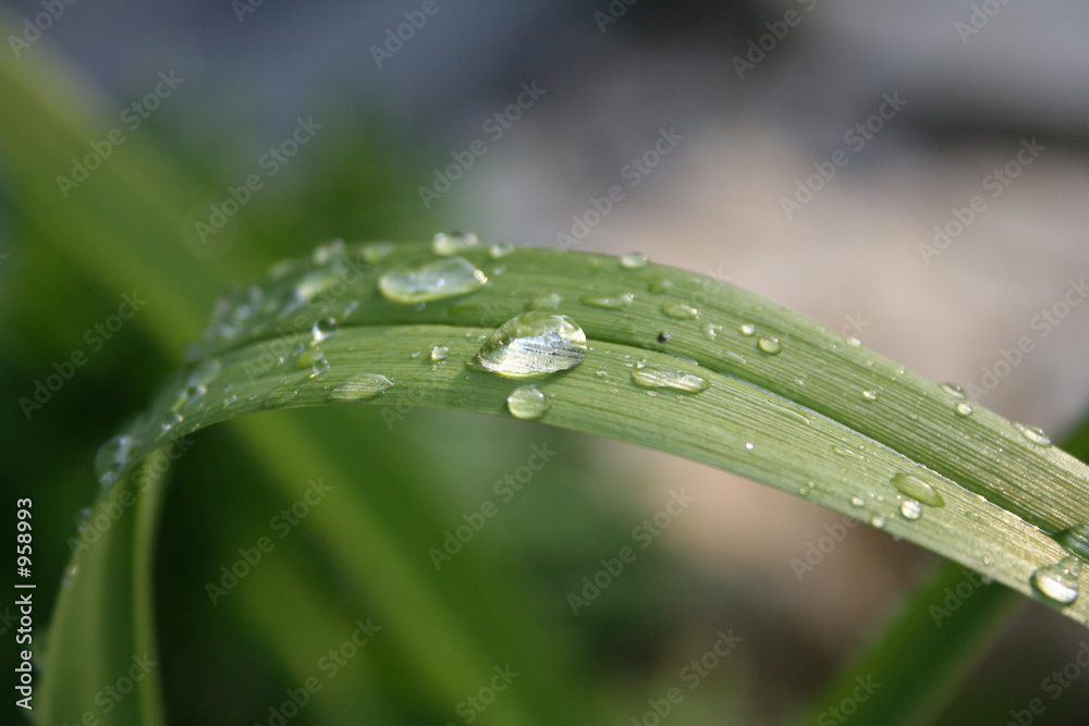 after the rain after the rain