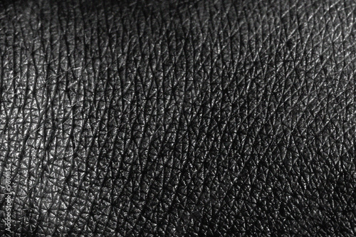 human leather