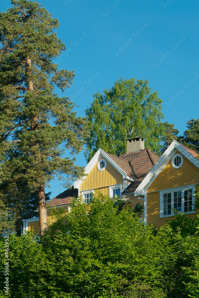 yellow house in the forest yellow house in the forest