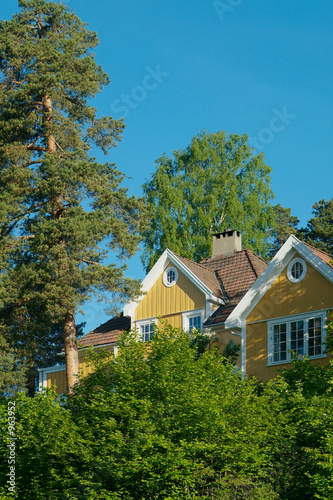 yellow house in the forest