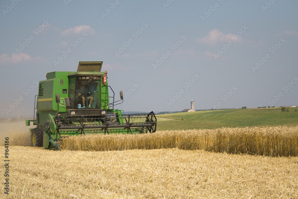 Obraz premium żniwa