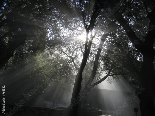heavenly rays