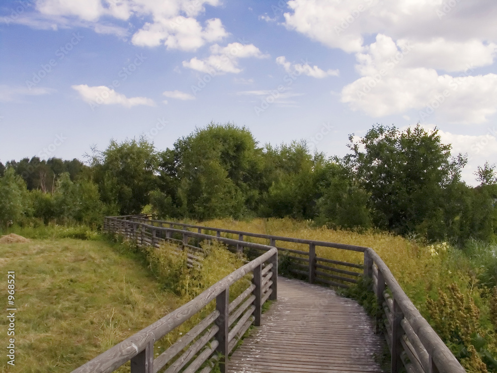 wooden path wooden path