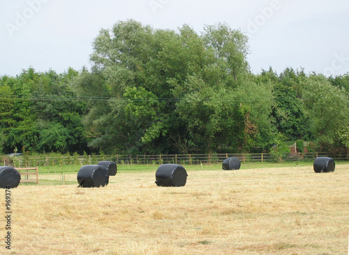 silage bales
