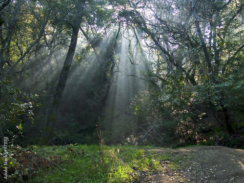 shafts of light