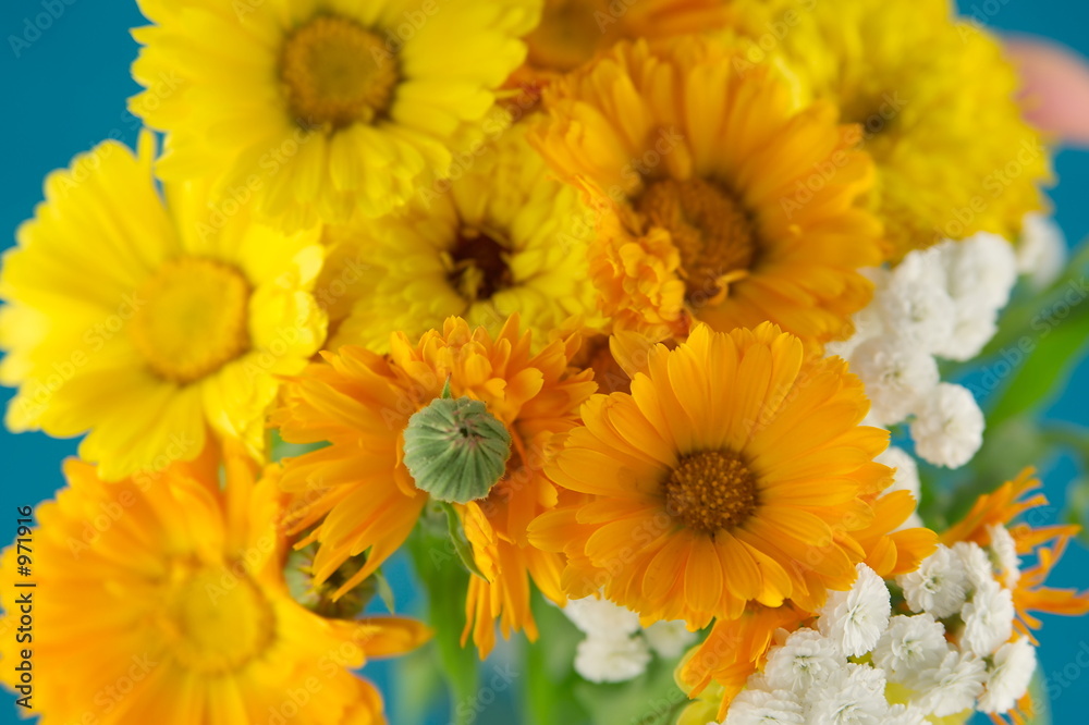 warm flowers warm flowers