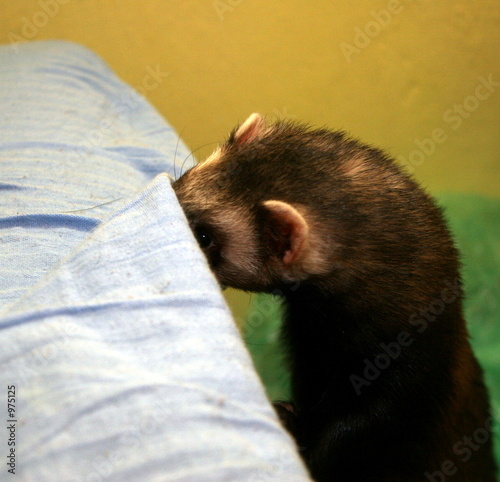 Plakat w ramie play hide-and-seek