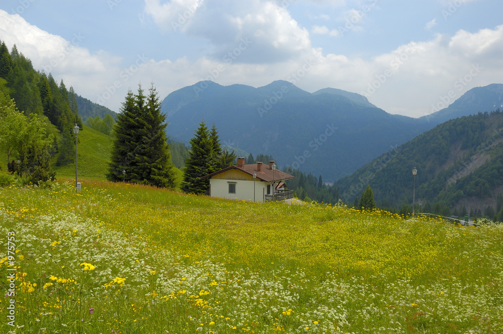 mountain landscape (italy)