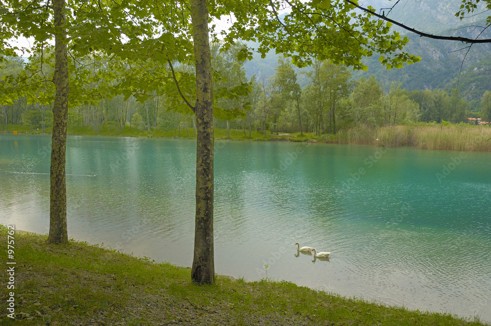 Ταπετσαρία carnia lago di cavazzo carnico