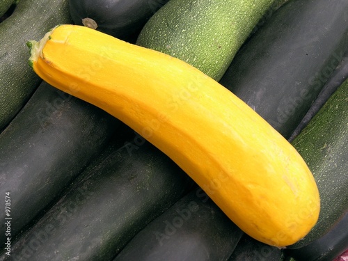 yellow and green young pumpkins photo