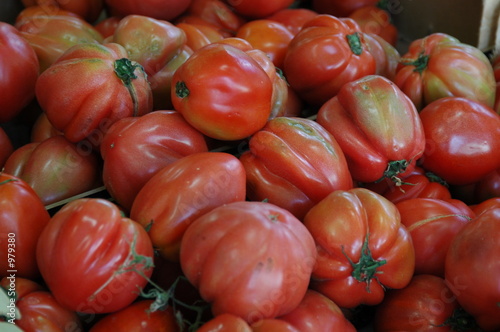 tomaten