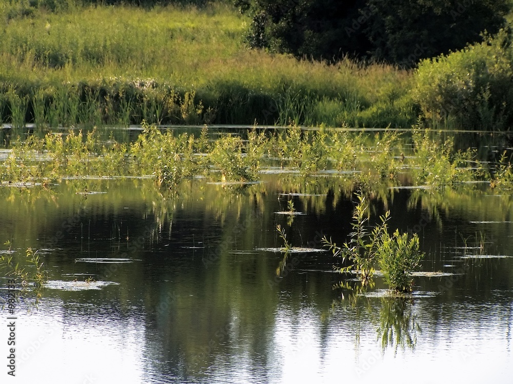 Obraz premium pond
