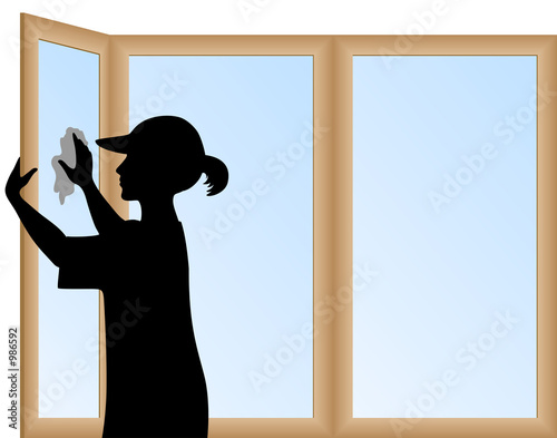 cleaning buziness 1