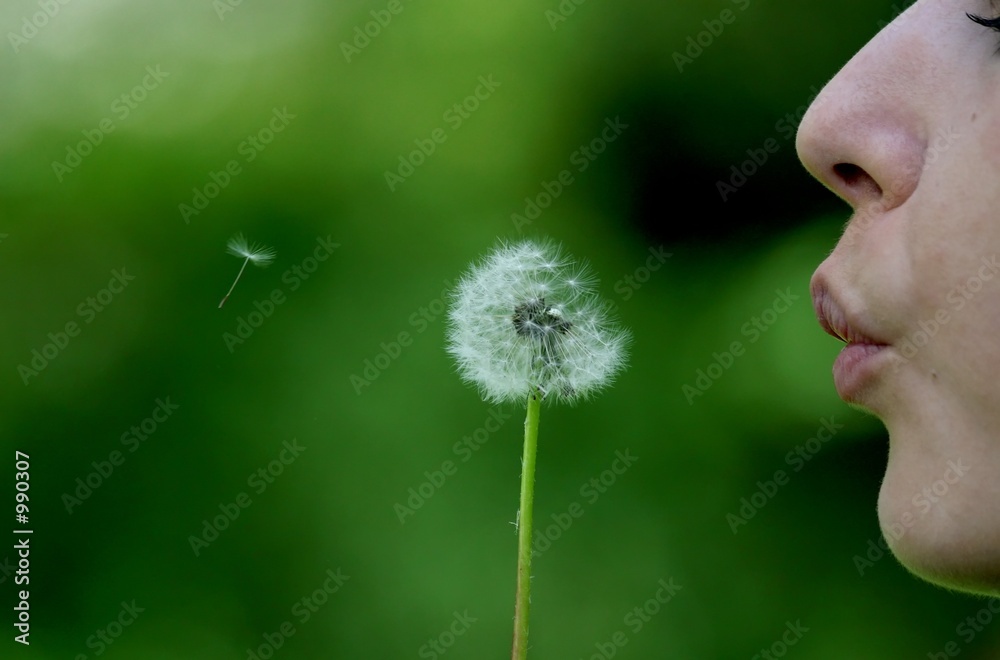 Fotografija one wish