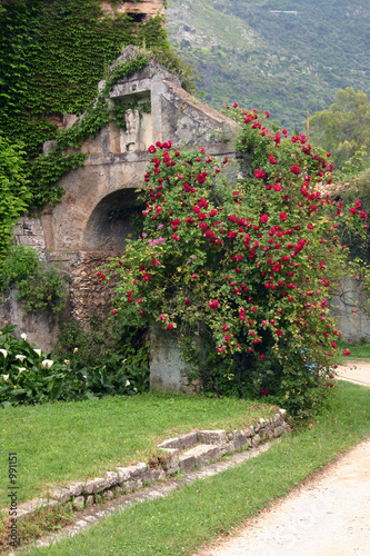 stone and roses at ninfa gardens
