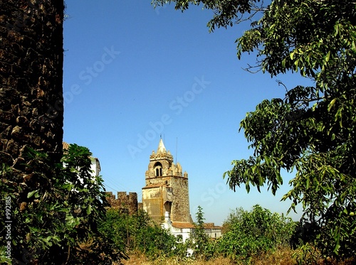 castle of montemor ii photo