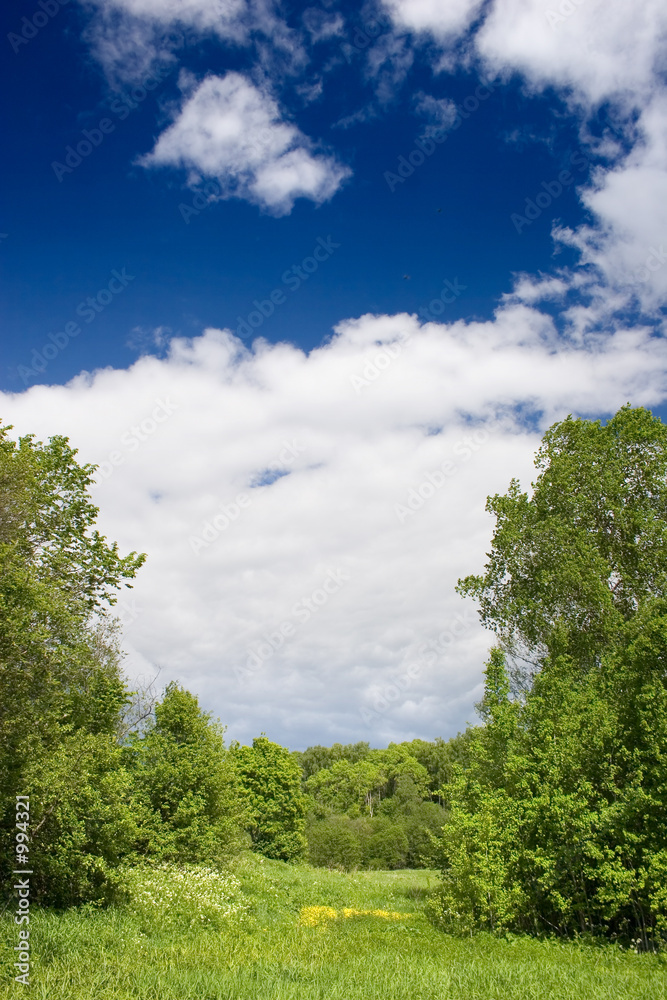nature nature