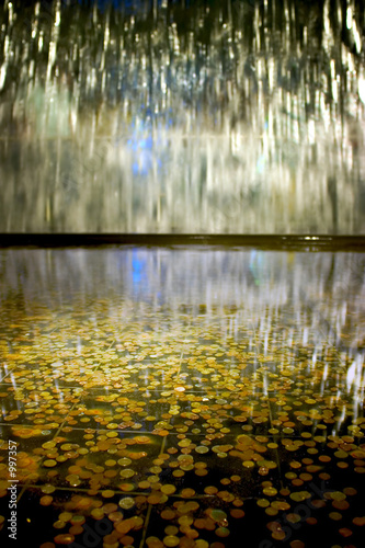 Photography many coins in the fountain