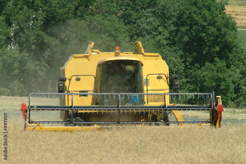 Fototapeta premium mähdrescher