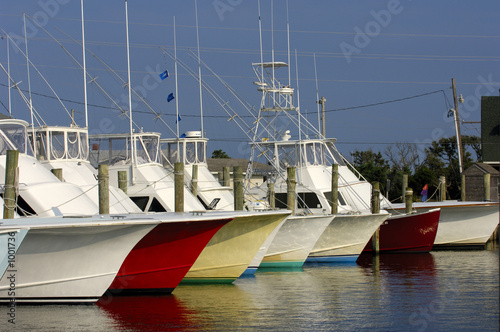 boats at the docks