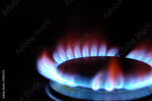 cooking on gas