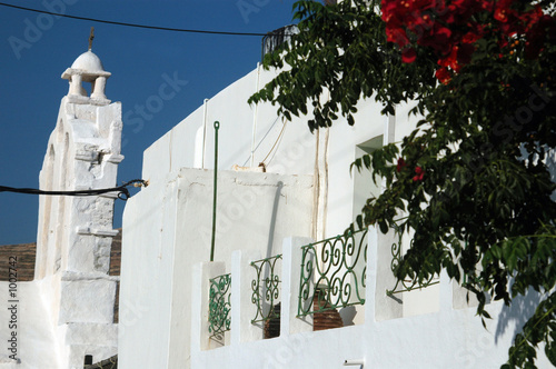greek architecture with flowers